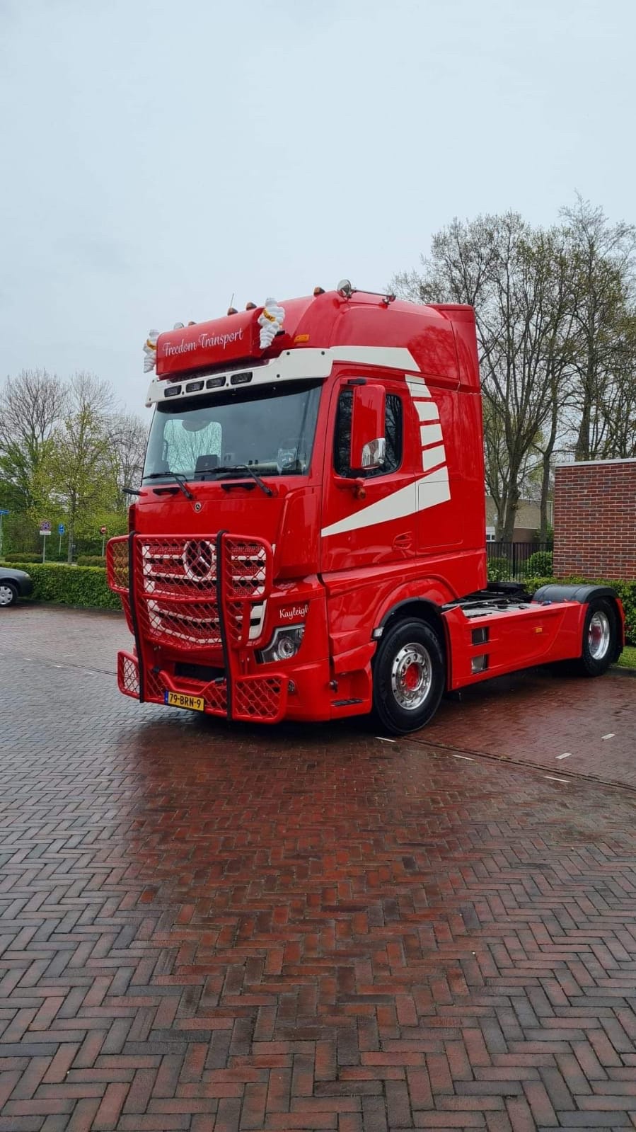 SFS Bullbar Mercedes MP4/5 Highway - Afbeelding 2